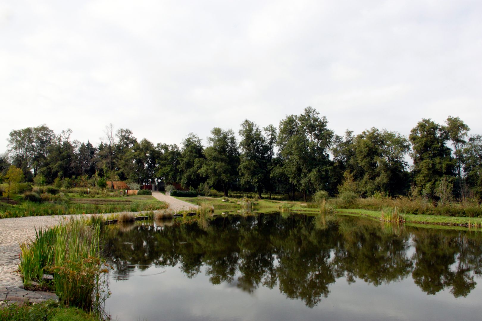 _MG_5482.JPG