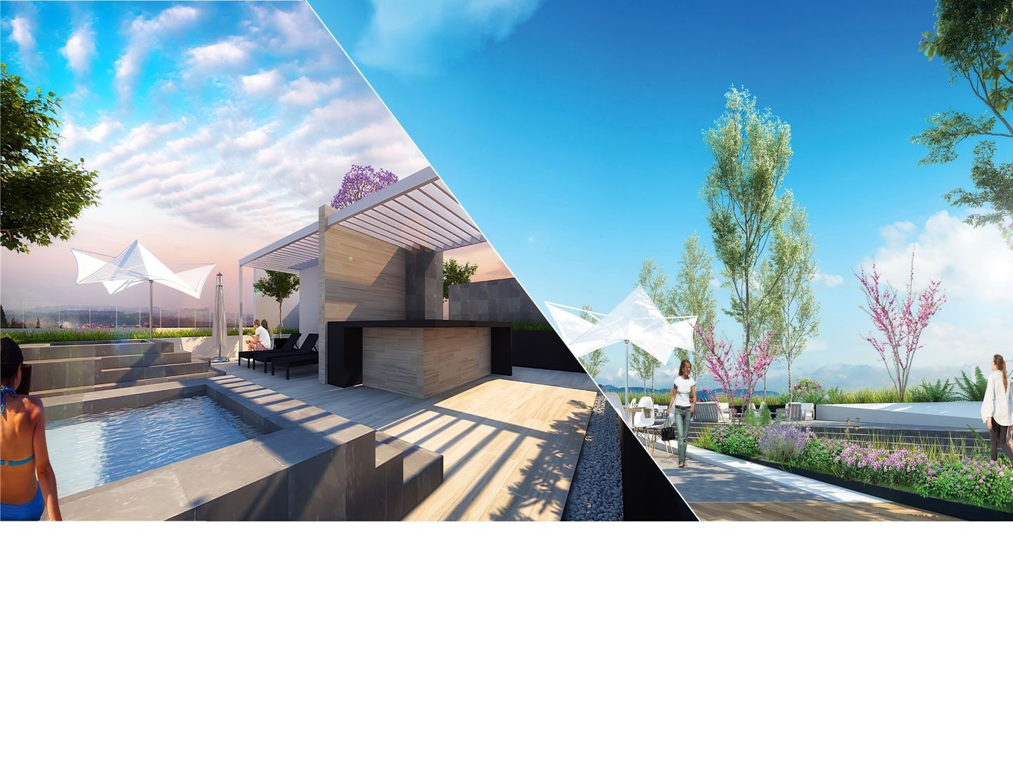 ROOF TOP.jpg