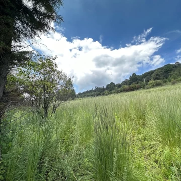 Se vende Terreno ideal para un rancho o desarrollar en Cañada de Alferez