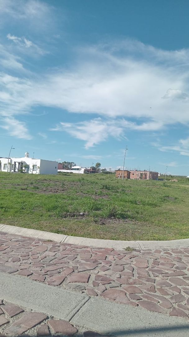 Imagen de WhatsApp 2025-08-25 a las 17.32.07_e19be671.jpg