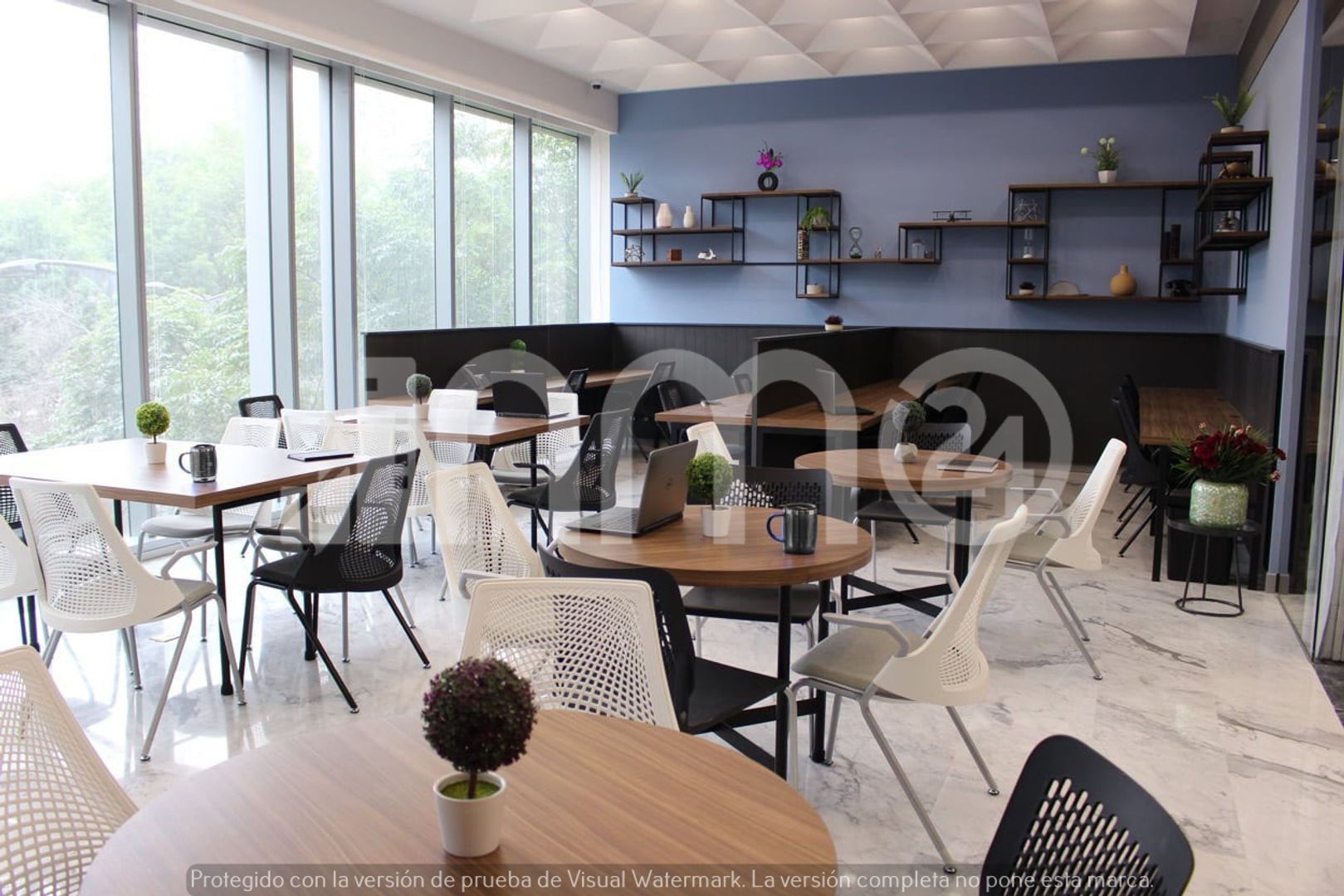 Latitud+Polanco+IZABC+Cowork++(2) (1).jpg