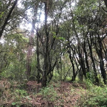 TERRENO EN VENTA , NICOLAS ROMERO