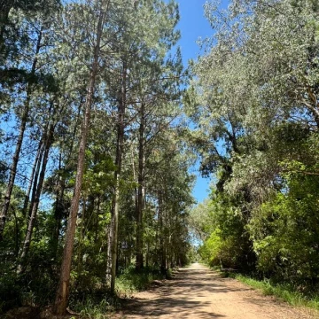 Terreno en venta San Jose Del Rincón