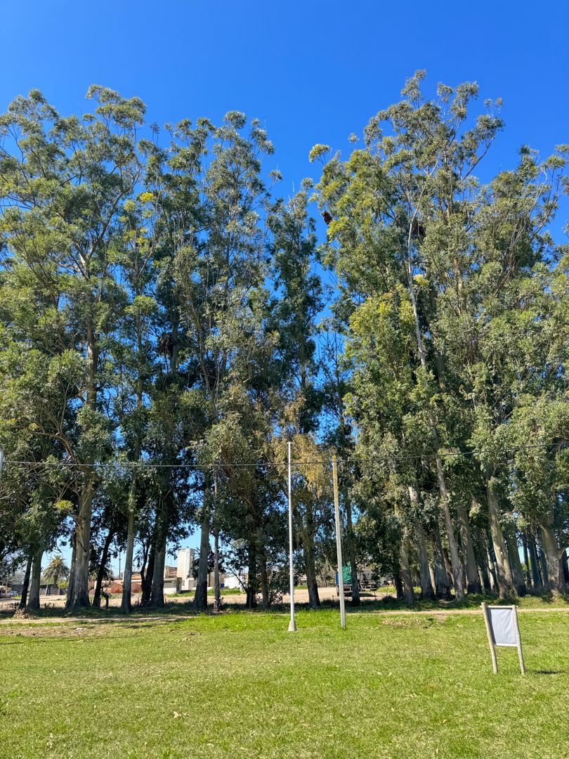 IMG_7676.jpeg