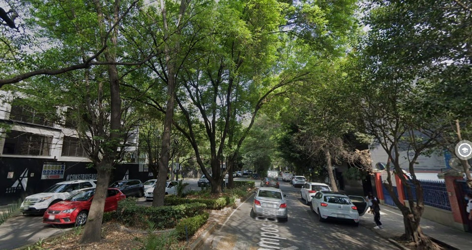CAMPOS ELISEOS 2.jpg