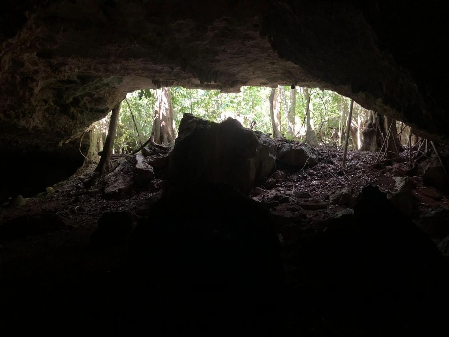 image 10