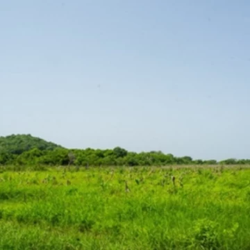 TERRENO EN VENTA 30 HA EN HUATULCO