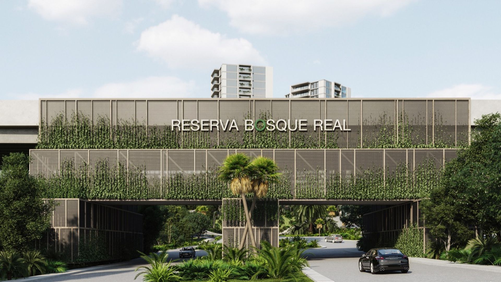 Reserva.jpeg