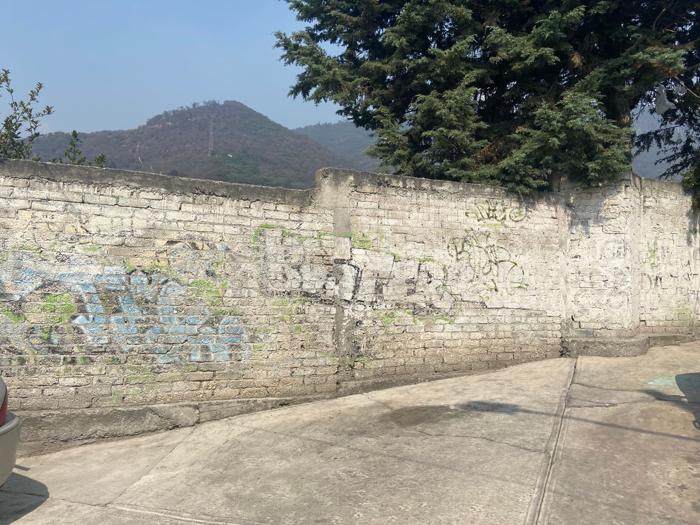 IMG_3021.jpeg