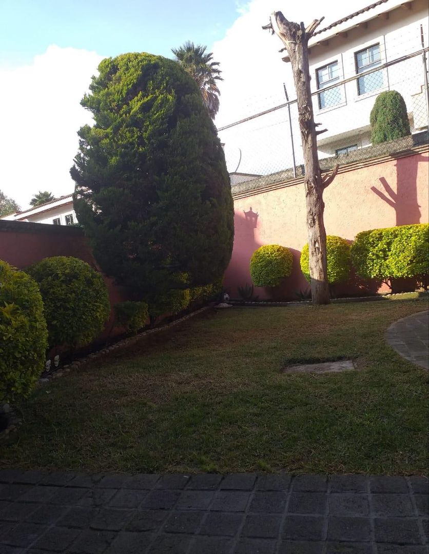 jardin ocotepec.jpg