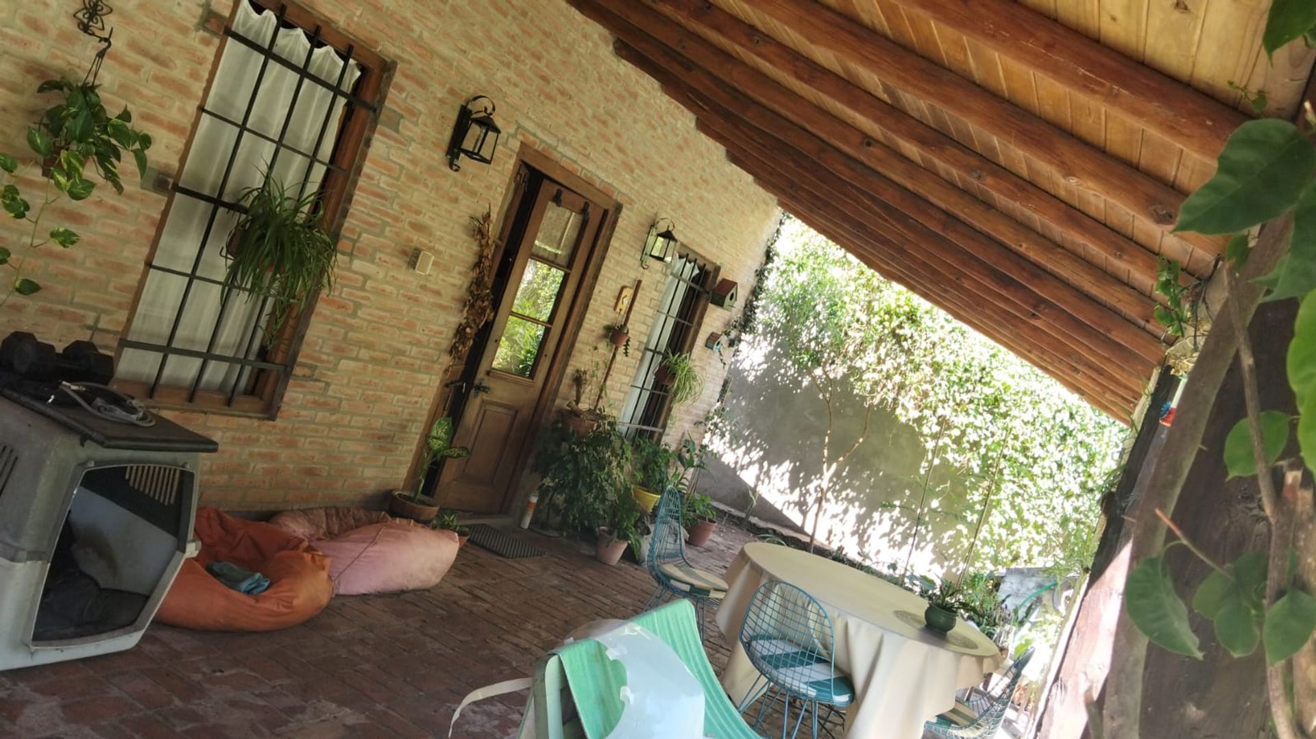 Foto de agustina magliano (24).jpg