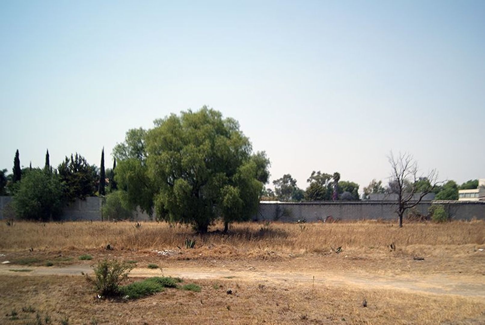 image 14