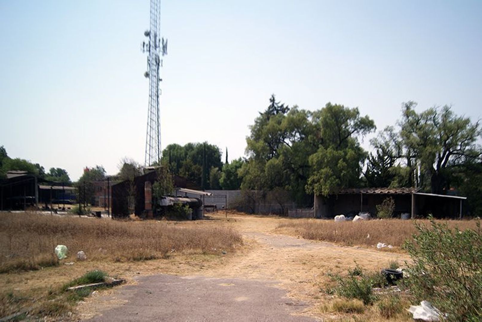 image 15
