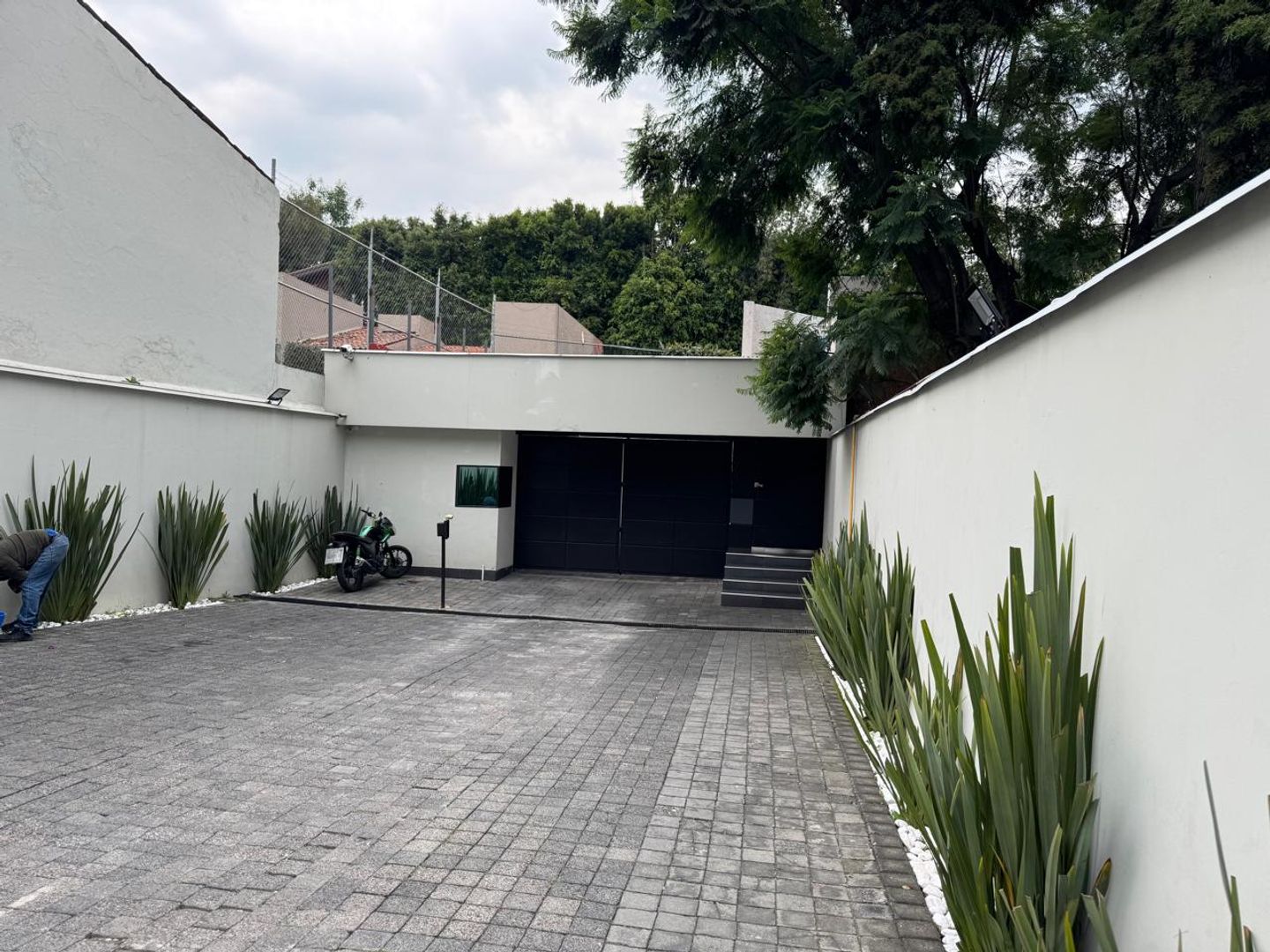 entrada puig - copia.jpeg