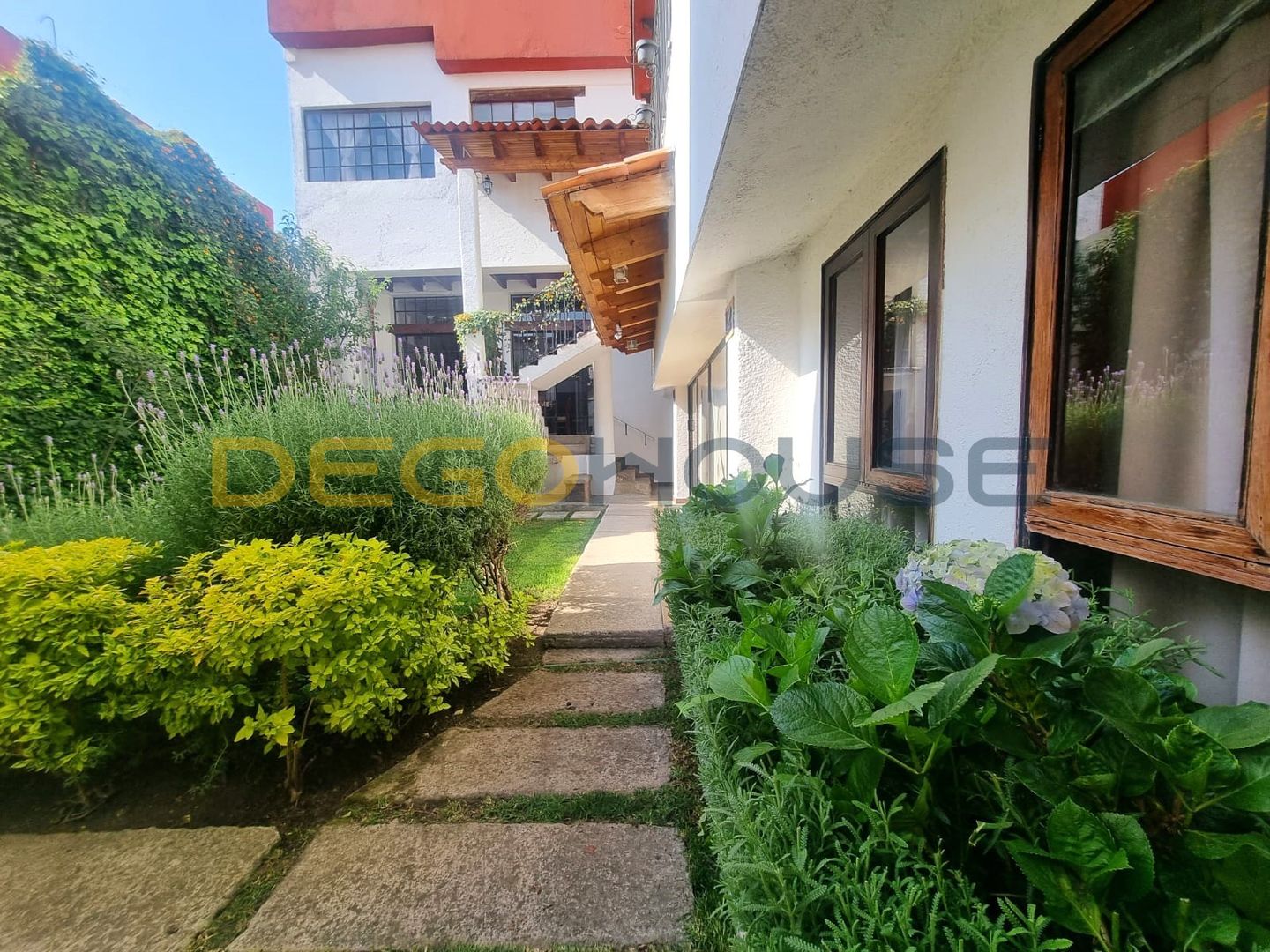 JARDP6.jpg