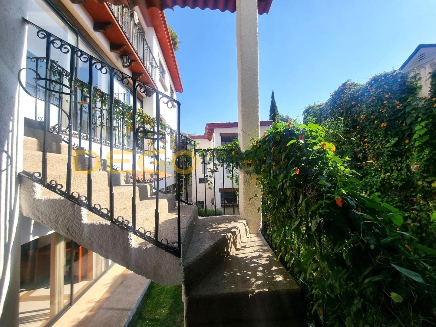 JARDP5.jpg
