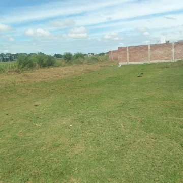 VENTA