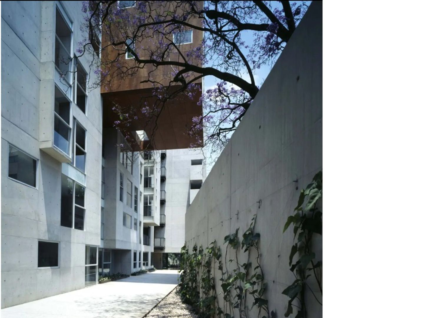PASILLOS INTERIORES AMSTERDAM.jpg