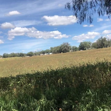 Terreno en Venta en Zumpango