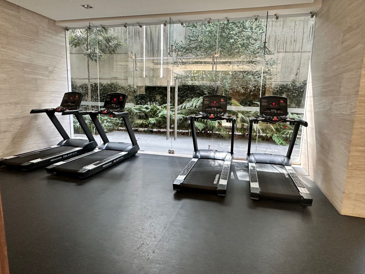 Gimnasio 1.JPEG