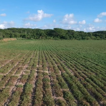 Terreno en Venta en Oaxaca