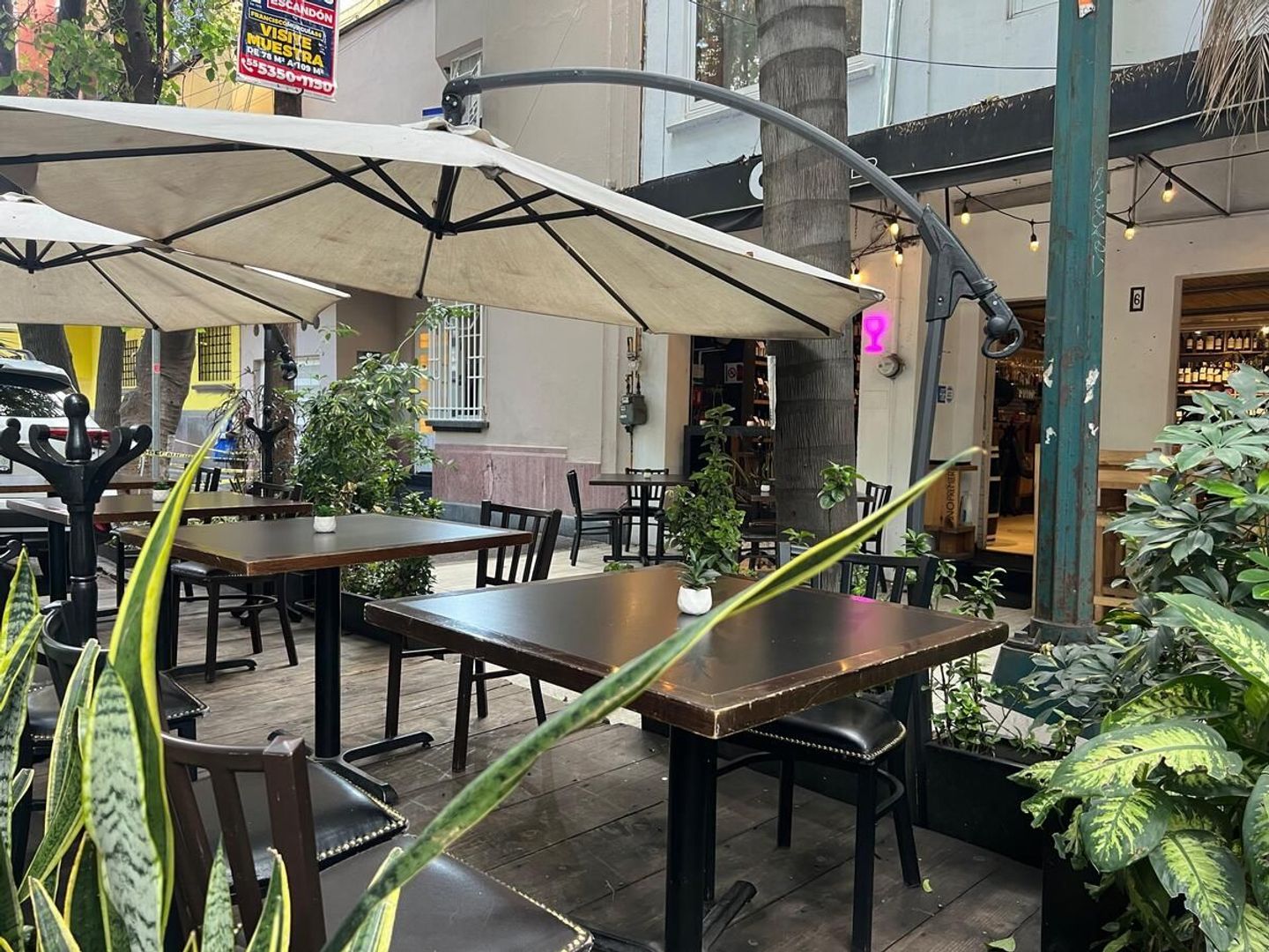 TERRAZA LOCAL COMERCIAL EN PLANTA BAJA