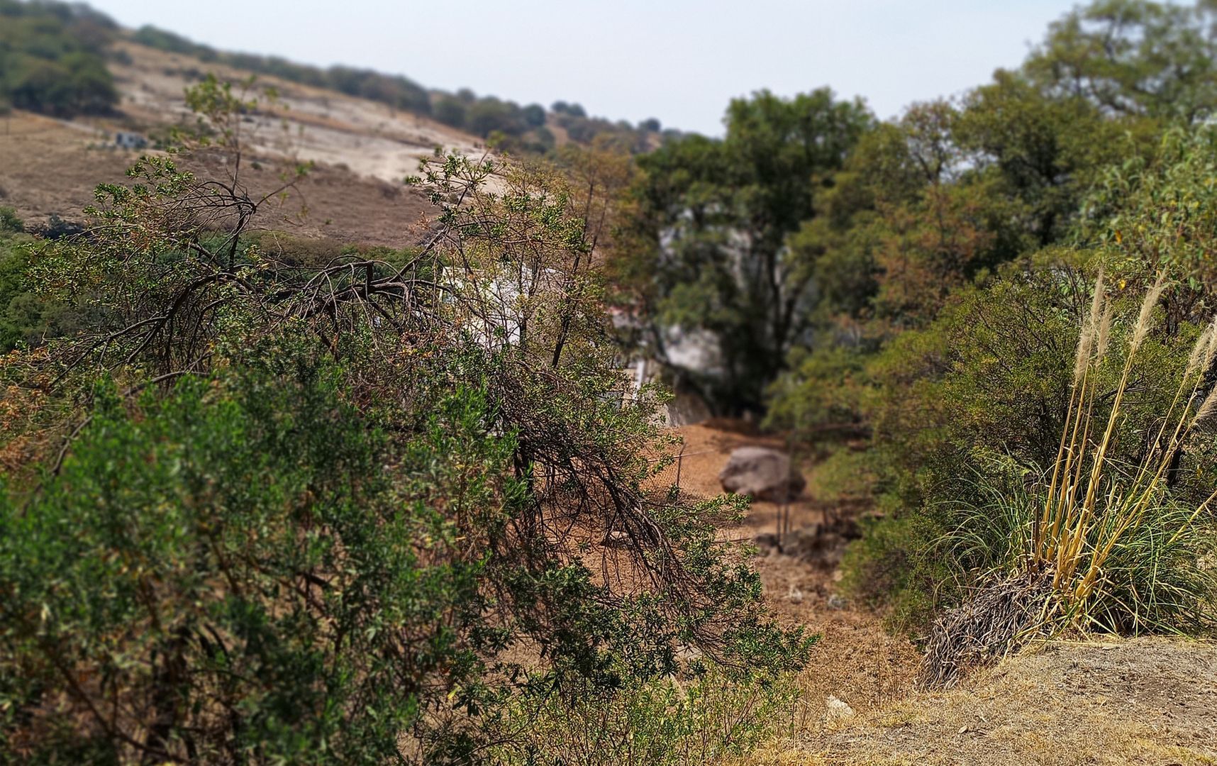 Lote 22 - HBZ-04.jpg