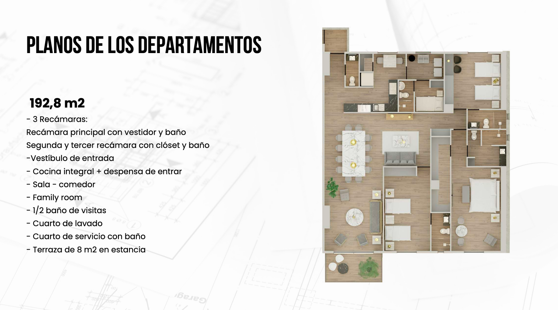 Captura de Pantalla 2024-07-23 a la(s) 15.38.38.png