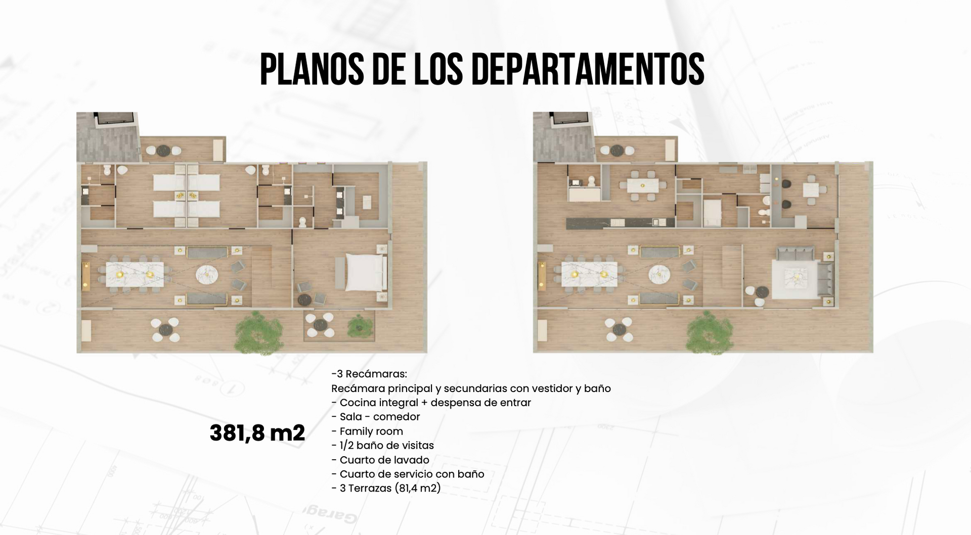 Captura de Pantalla 2024-07-23 a la(s) 15.38.46.png