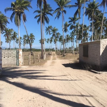 Terreno en Venta, Tecuala