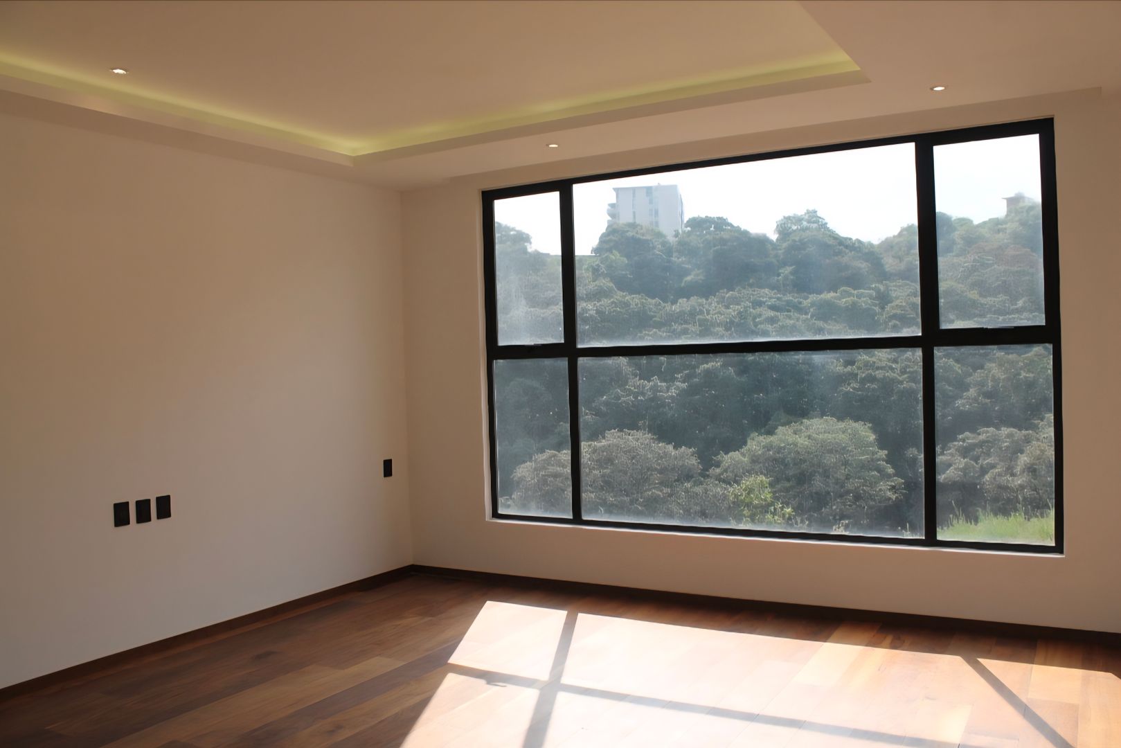 1000250085.jpg