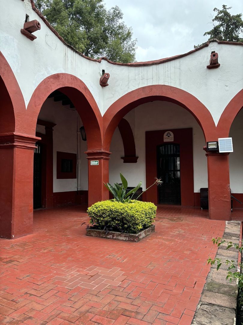 image 15