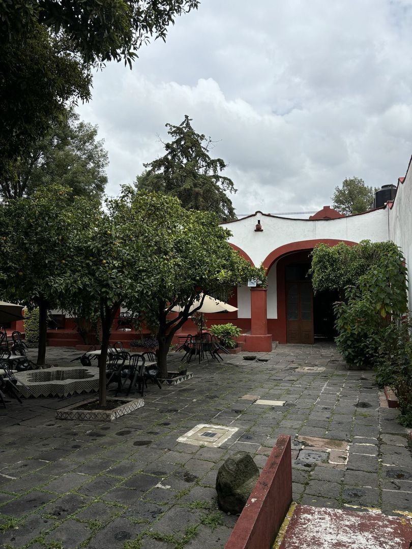 image 21