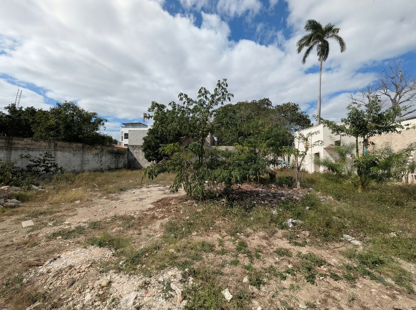 Habitanza AI - PXL_20260119_173051791 - Vaciar 2K.png