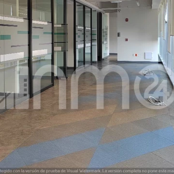 Oficina Acondicionada en Renta en Polanco 393 m2 ¡Oportunidad!