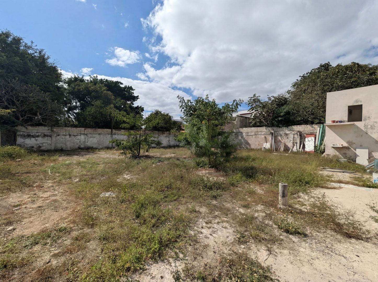 Habitanza AI - PXL_20260119_172943309 - Vaciar 4K.png