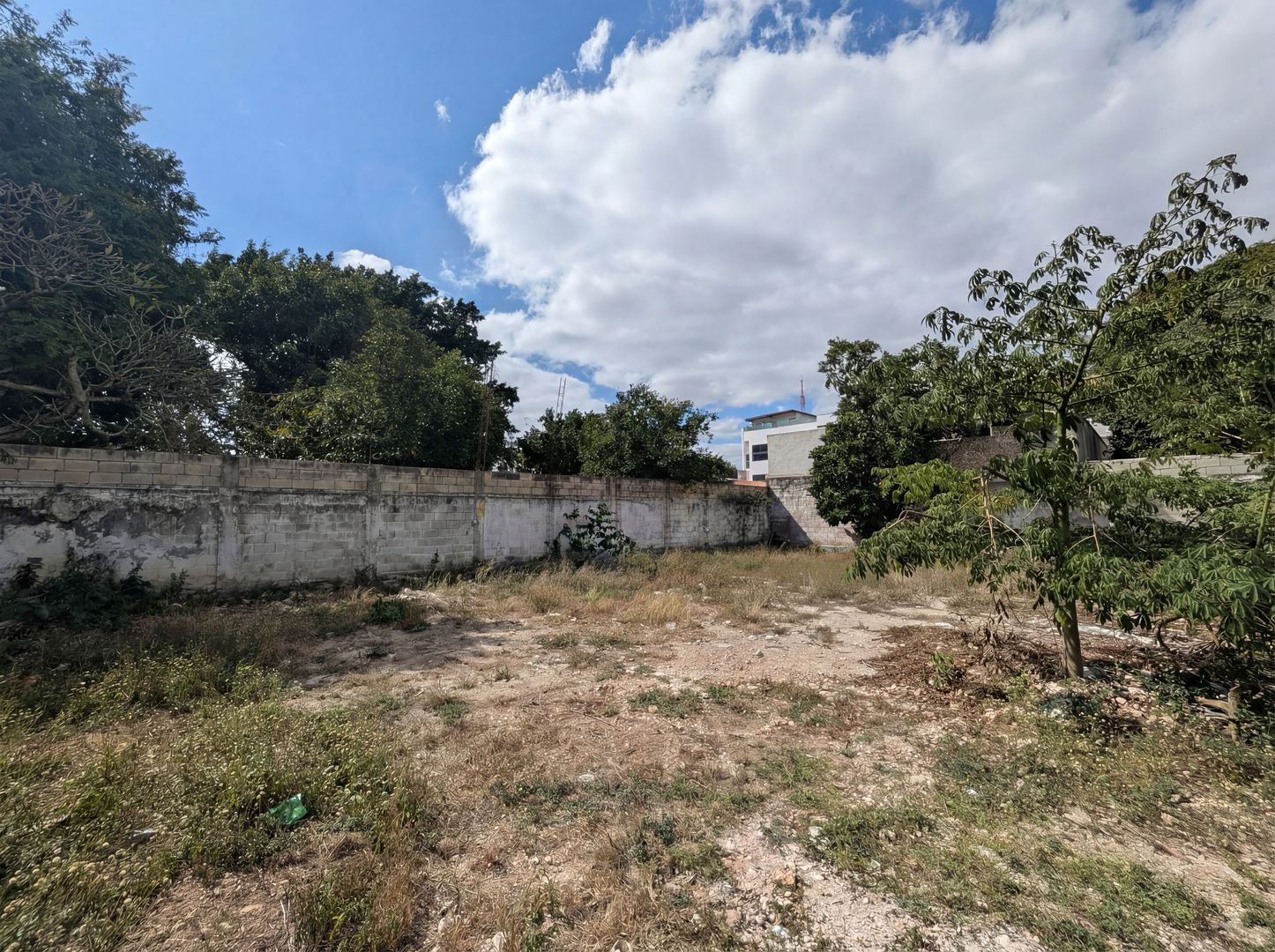 Habitanza AI - PXL_20260119_173049863 - Vaciar 4K.png