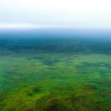 Venta de Isla en Minatitlán Veracruz 