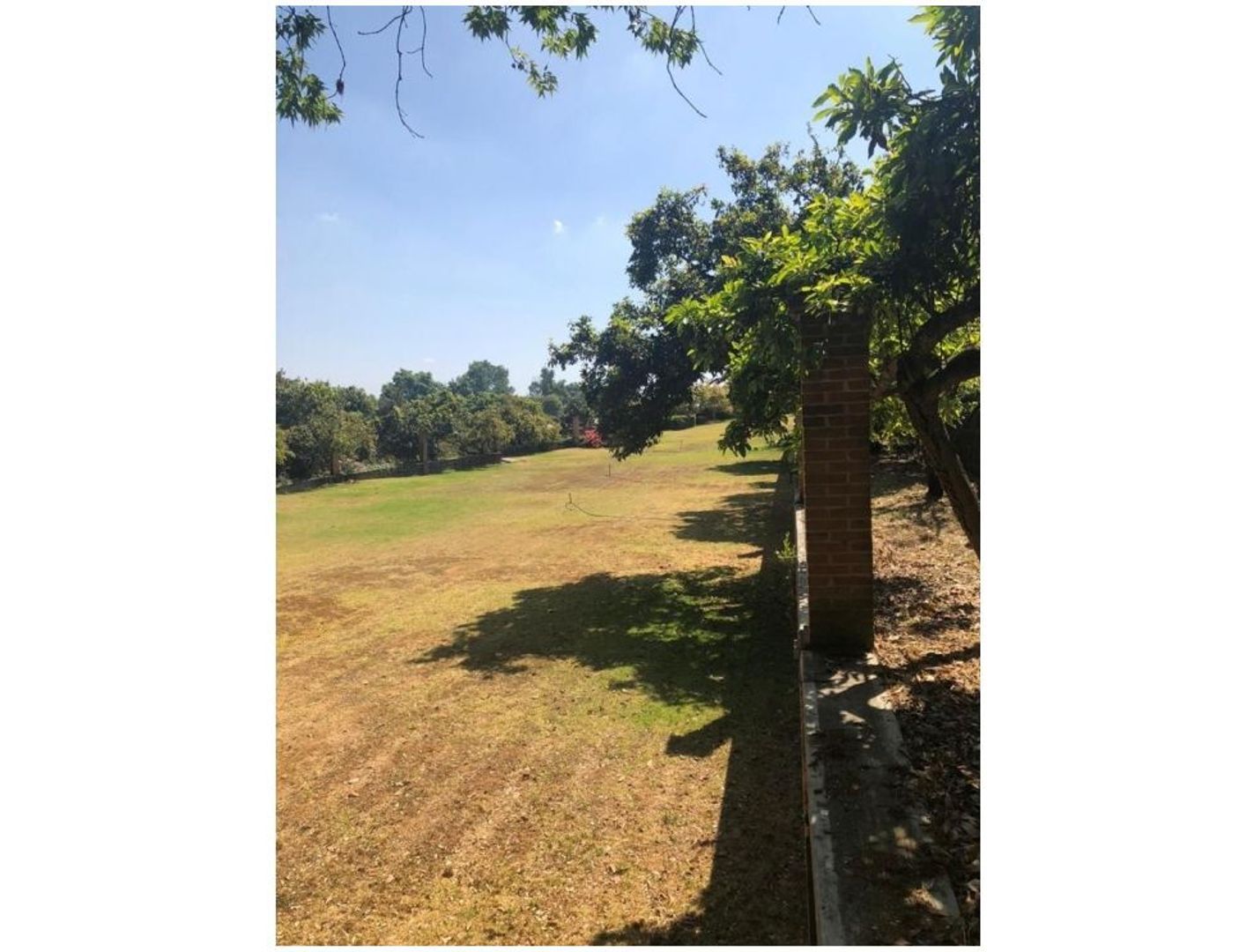 6.jpeg