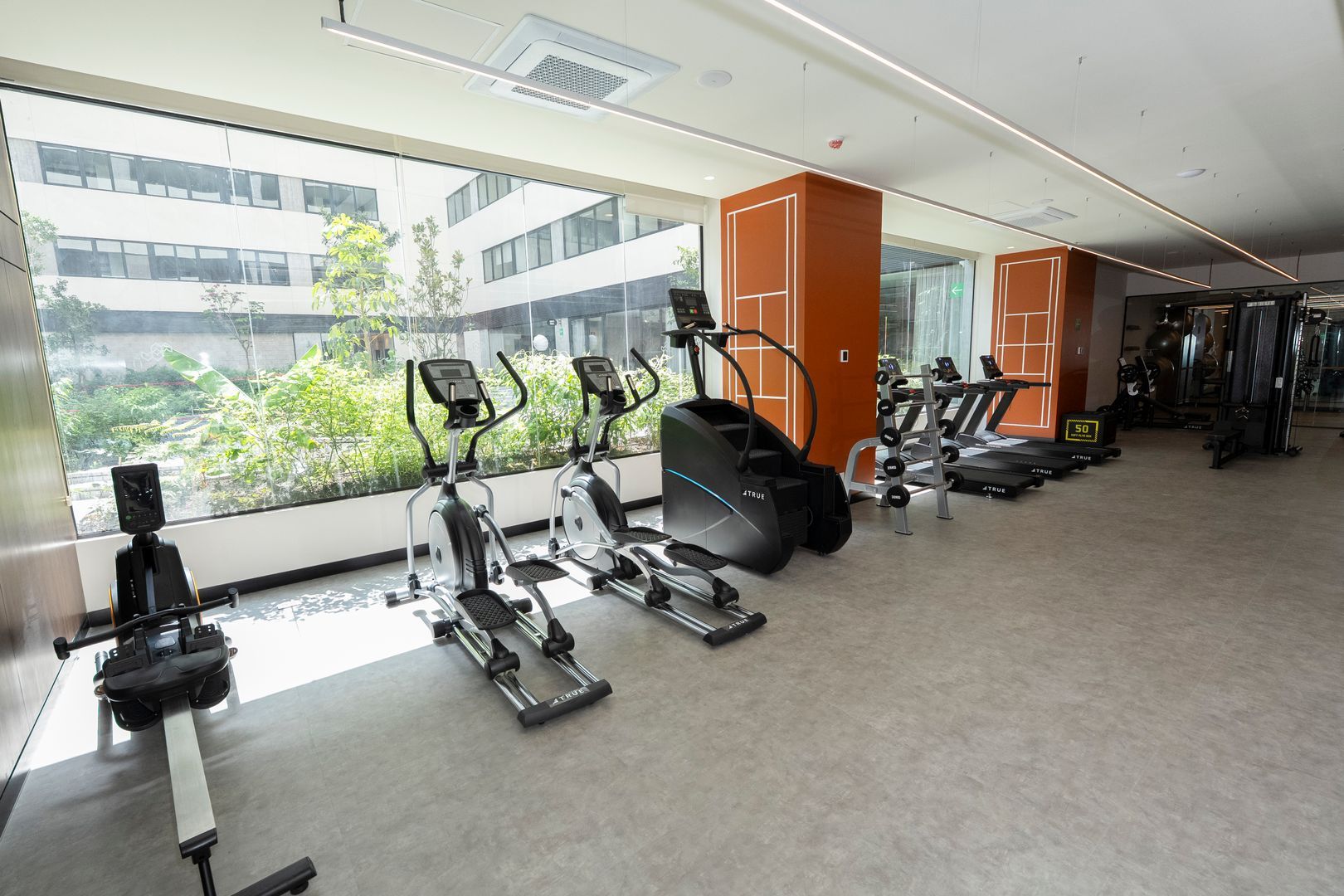 Copia de F-05668.jpg