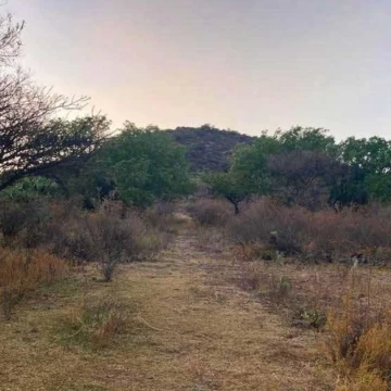 TERRENO EN VENTA, SAN MARTIN DE LAS PIRAMIDES, ESTADO DE MEXICO