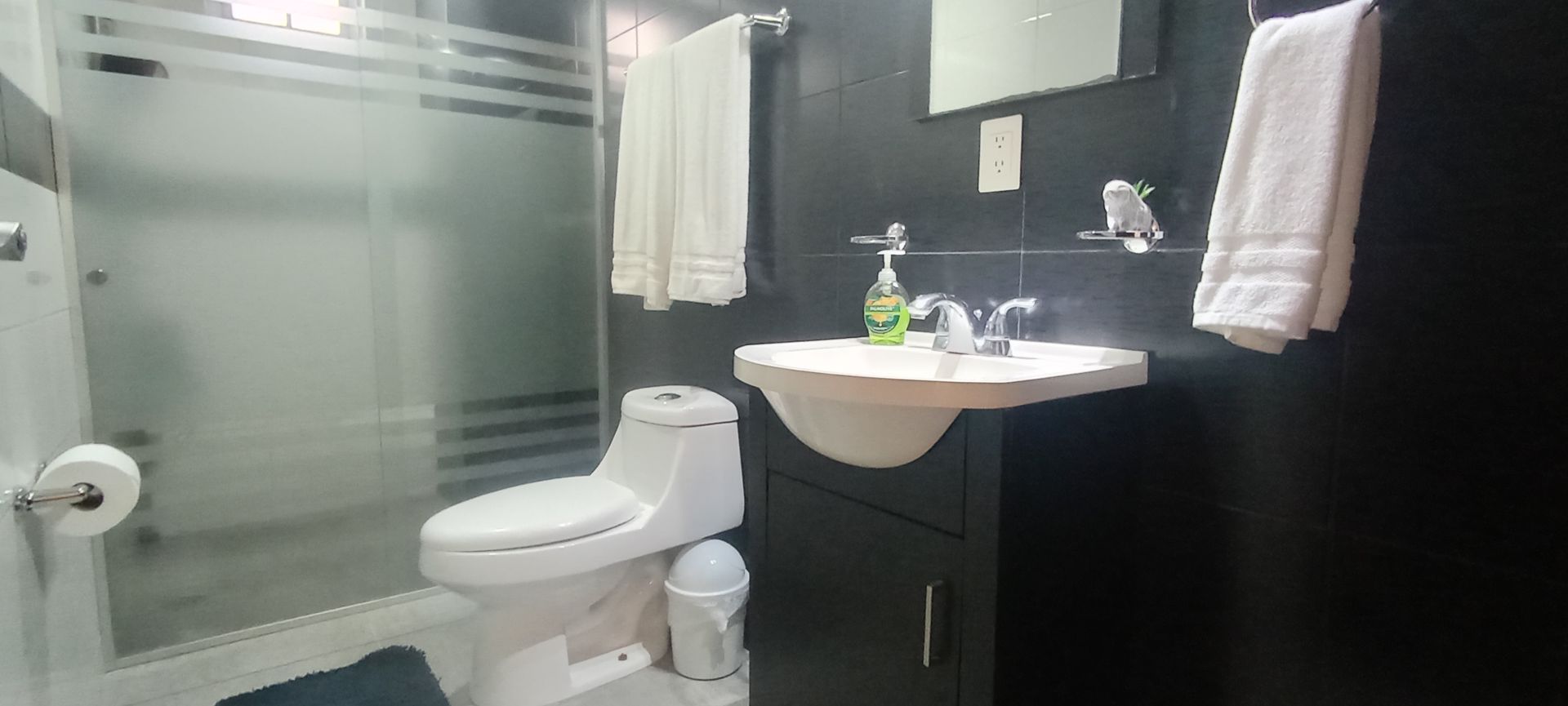 IMG_20241212_090502.jpg