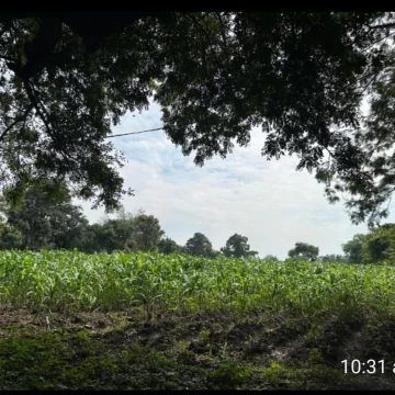 Terreno Residencial en venta en Pueblo Itzamatitlán
