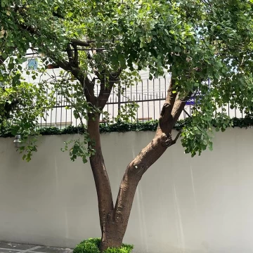 Casa En Condominio en venta en Los Alpes 3 Recámaras