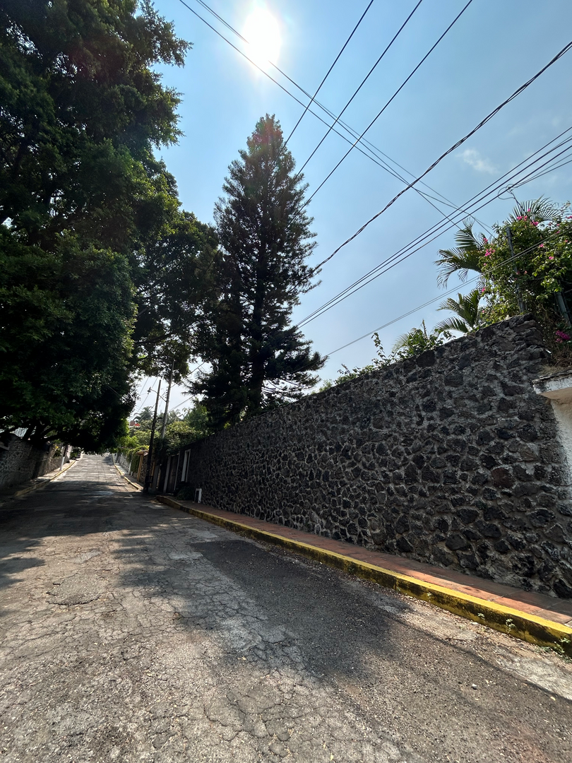 IMG_3595.jpeg