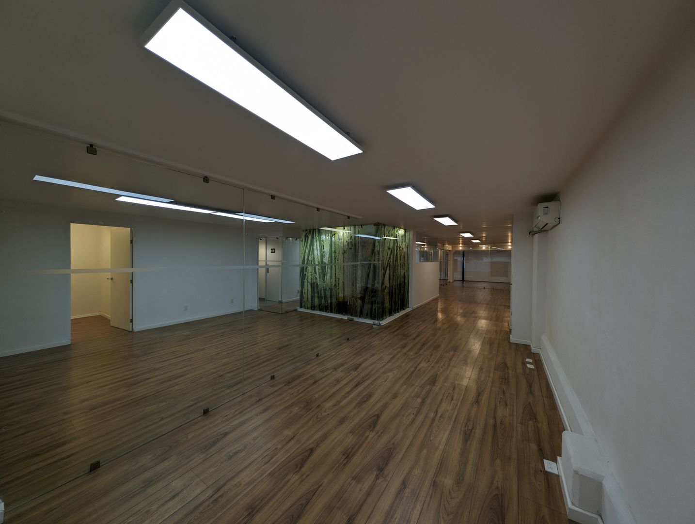 PXL_20240403_234637106.jpg