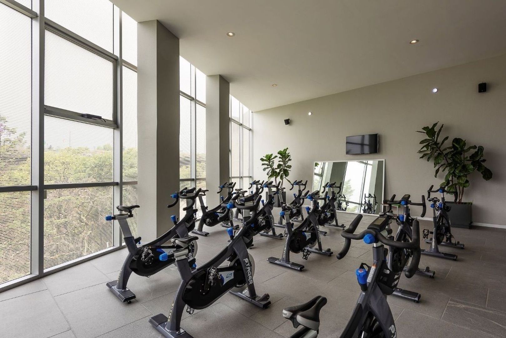 image 38