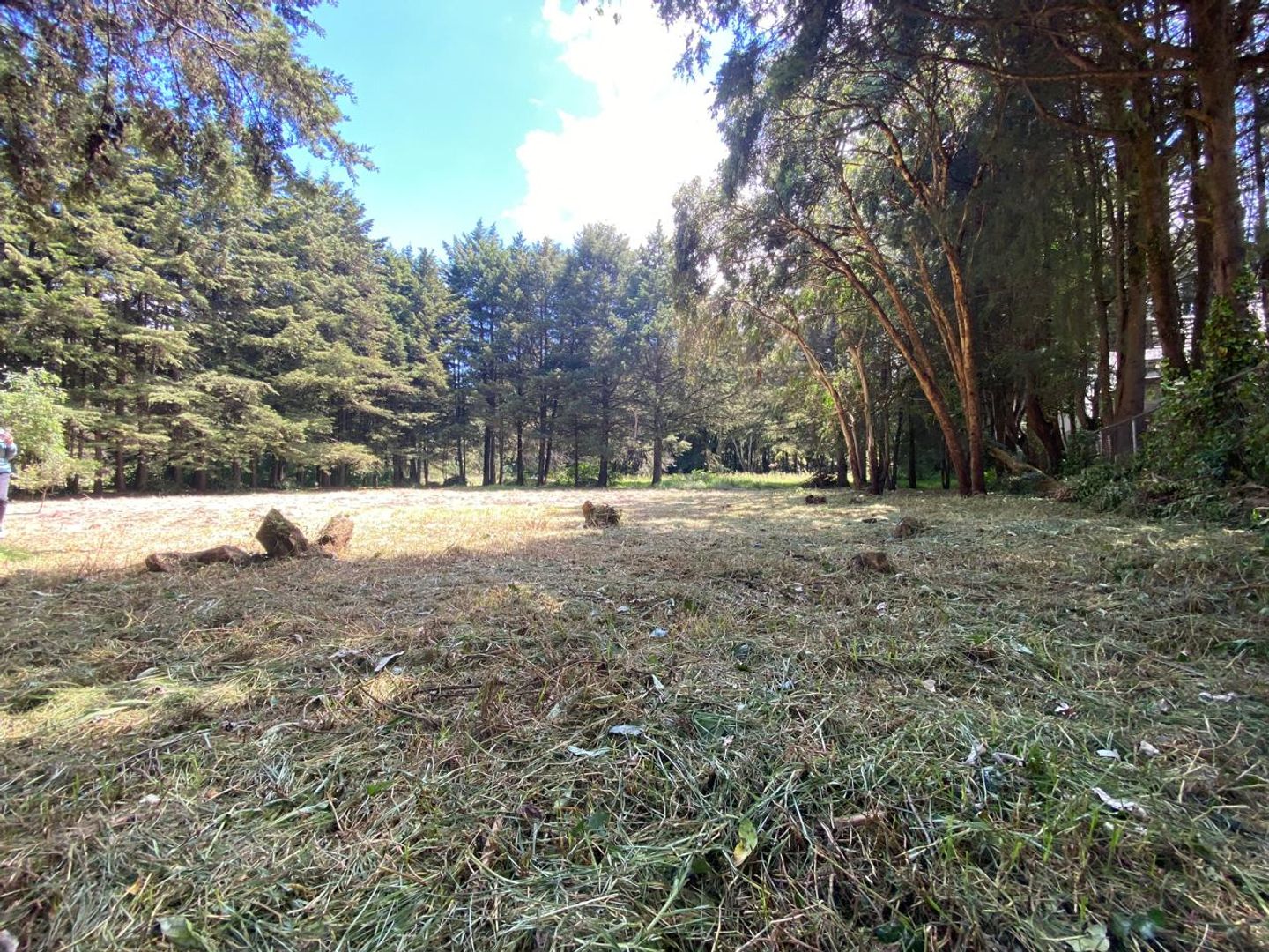 FOTO 2 TERRENO.jpeg
