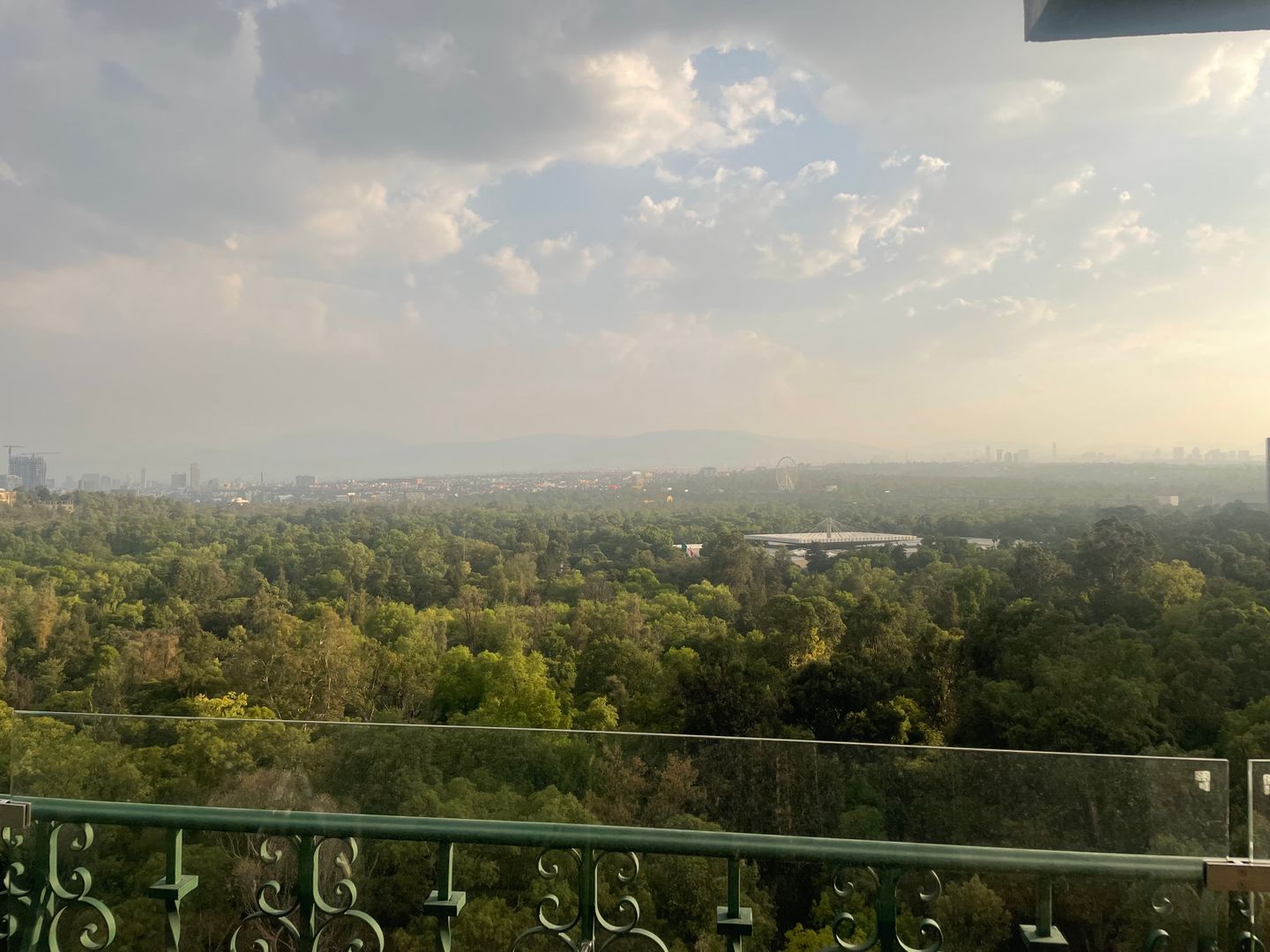 IMG_8150.jpeg