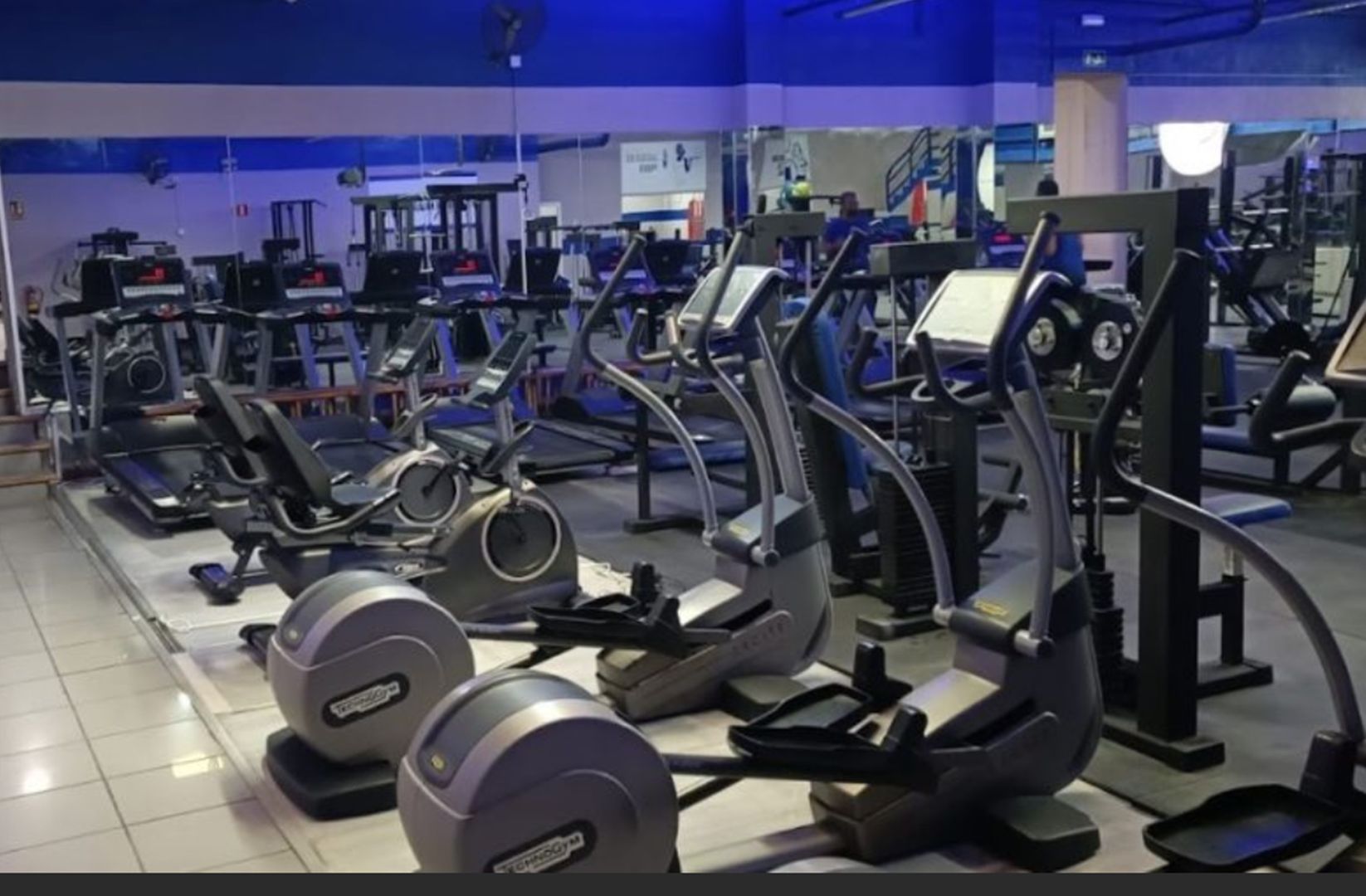 gimnasio.jpg